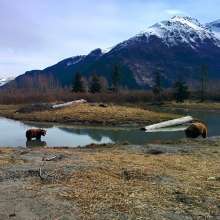 Visit Anchorage Destination Immersion 4