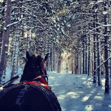 2012 sleigh ride Wild West Campground