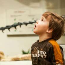 Museum of Natural History at UWSP