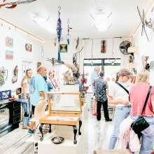 Pink Alligator Gallery