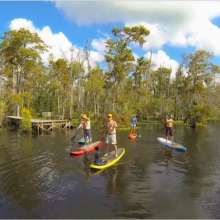 GO PADDLEBOARD: Louisiana's Northshore