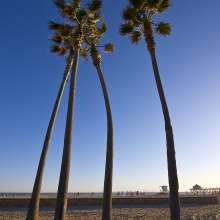 Beach4