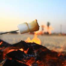 Bonfire10