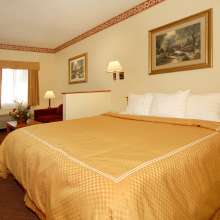 comfort suites guest room vg 2012