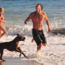 DogBeach2