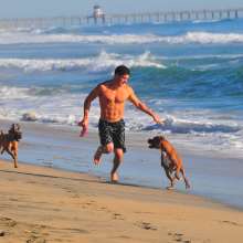 DogBeach3
