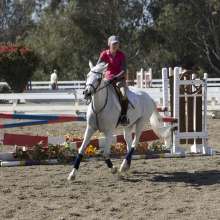 Equestrian2