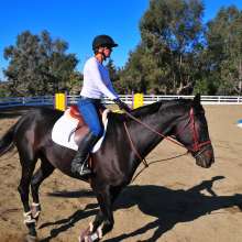 Equestrian3