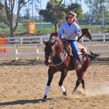 Equestrian6