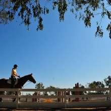 Equestrian8