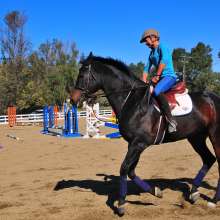 Equestrian9
