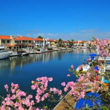 Harbor2