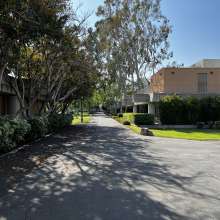 Near the Fine Arts building