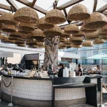 Paséa Tanner's Treehouse Lounge