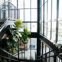 Paséa Tanner's Staircase