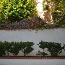ImageDH00223