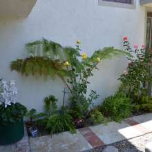ImageEL00117