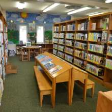 ImageMSL00060