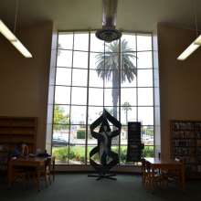 ImageMSL00067