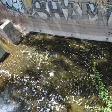 ImageSM00053