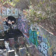 ImageSM00055