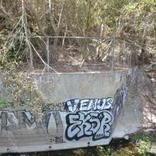 ImageSM00063
