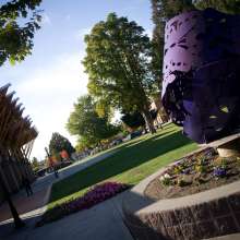 Dwntn Puyallup- Heidi Vladyka