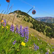 Summer at Crystal Mountain