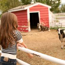 Farm Country