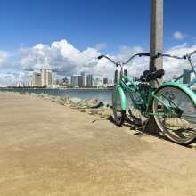 BikeRentals.jpg