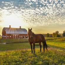 Farm at Prophetstown