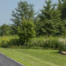 Celery Bog Nature Area