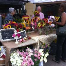 Farmers Markets