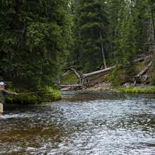 a fisherman with his line cast into a creeks' water in a forest