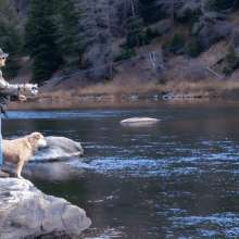 A person enjoying fly fishing in Saratoga, Wyoming with their loyal dog by their side, one of the many exciting things to do in the area.