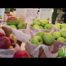 Exploring York with Claire Alexander: Central Market