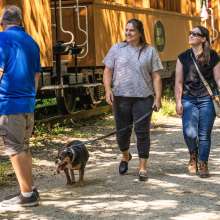 walkers enjoying the Heritage Rail Trail
