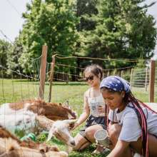 people enjoying feeding the goats at White Clover Farms