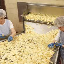 Utz Quality Foods