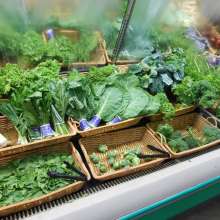 Sonnewald Natural Food