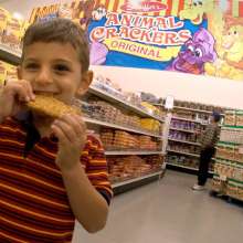 Stauffer's Cookie Outlet