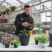 National Plant a Flower Day