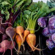 Harvested Root Vegetables from Yuma Field in Yuma, Arizona