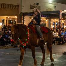 Saddles of Joy winner of best animal for this years Dorothy Young Electric Light Parade with their horse representing Rudolf with a Glowing red nose and a necklace made up of Christmas Lights