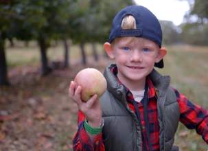 Green's Fruit Farm