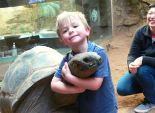Clyde Peeling Reptiland Allenwood