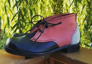 Colorado Shoe School