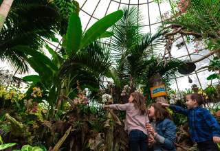 How To Prepare For The Best Family Vacation In Rapid City