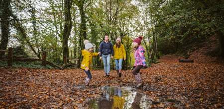A family walking through Penllegare woods