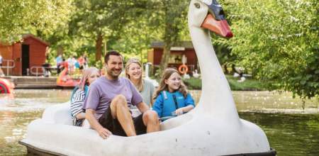 Create Unforgettable Memories in Swansea Bay